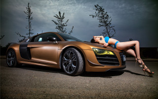 Woman bikini car leaning art - the hood of the car free wallpaper for desktop