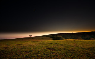 Lone tree hill night crescent - landscape free wallpaper for desktop