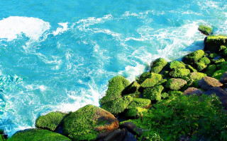 Rocky shore moss waterwave sky - green moss free wallpaper