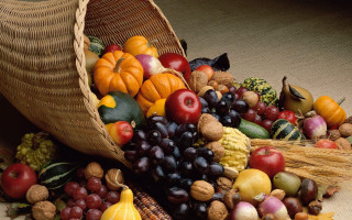 Harvest folk art fruit vegetables - fall vibrancy free wallpaper for desktop