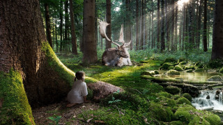 Kneeling forest deer stream magic - surreal photography free wallpaper for desktop