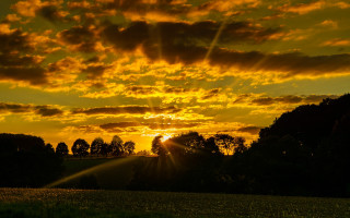 Sunset clouds trees field crepuscular - crepuscular free wallpaper for desktop