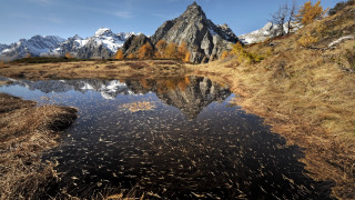 Mountain lake forest sunset birds - a few bird free wallpaper