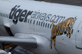 Tiger painted plane airport terminal - the door open free wallpaper