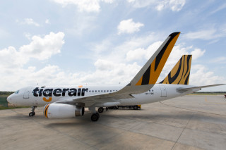 Tiger airplane tarmac airport sky - the tarmac free wallpaper