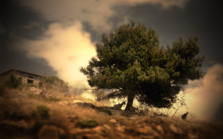 Lone tree hill building clouds - constantine andreou free wallpaper