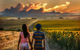 Couple walking sunflower field cloudy - a couple walking free wallpaper