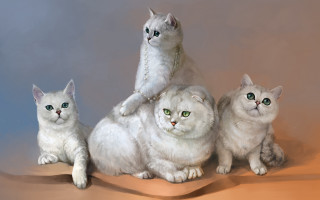 Three cats stacked tabletop calico - a detailed painting free wallpaper