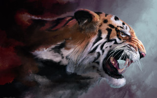 Tiger mouth open teeth wide 8 - bengal school of art free wallpaper