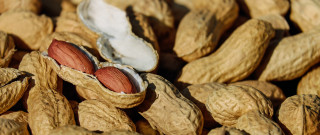 Peanuts shells white brown basket - boetius adamsz bolswert free wallpaper for desktop