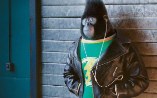 Monkey leather jacket headphones afrofuturism - black jacket free wallpaper