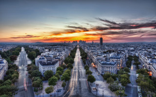 Paris sunset cityscape street trees - a cityscape free wallpaper for desktop