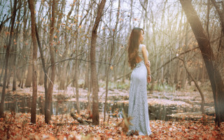 Woman forest white dress autumn - the ground and trees free wallpaper
