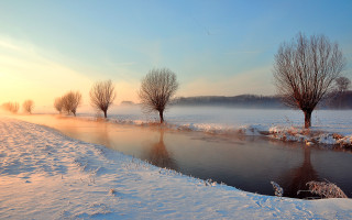 River trees winter impressionism beach - the middle of it free wallpaper