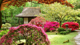 Garden gazebo flowers trees path - flower and trees free wallpaper