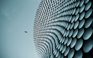 Plane building curved design bird - side and a bird free wallpaper