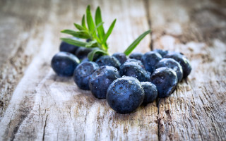 Blueberries greenleaf wooden table blurry - a green leaf free wallpaper
