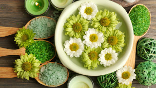 Flower candles summer vibrancy evariste - summer vibrancy free wallpaper