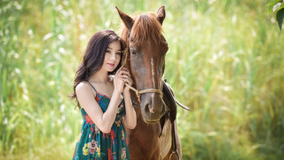 Woman horse field dress nature - fei danxu free wallpaper