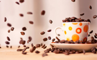 Coffee cup coffee beans conceptual - coffee bean free wallpaper