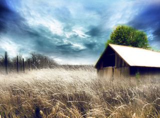 Barn tall grass cloudy sky - a barn in a field free wallpaper