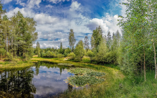 Pond trees grass sky clouds - wide angle len free wallpaper for desktop