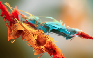 Colorful fire macro breathing flame - alberto seveso free wallpaper