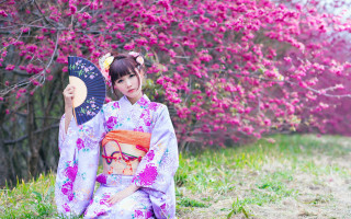 Woman kimono fan cherry blossoms - sakimi chan free wallpaper for desktop