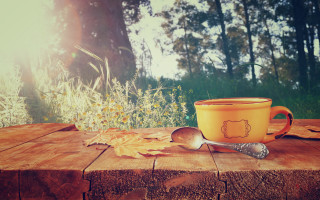 Coffee wooden table spoon leaf - a forest in the background free wallpaper