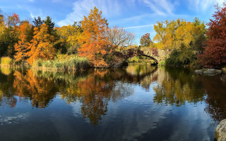 River bridge trees fall colors - panoramic free wallpaper