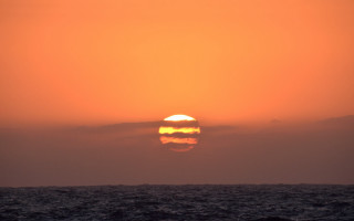 Sunset ocean boat bird sky - the water and a bird free wallpaper