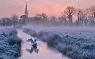 Swans river frosty field church - frosty free wallpaper