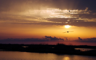 Bird sunset water lake mountains - dave arredondo free wallpaper