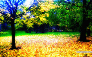 Park bench trees fall colors - a bench and trees free wallpaper for desktop