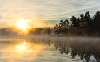Foggy lake sunset trees horizon - crepuscular free wallpaper