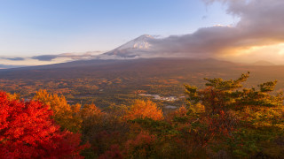 Mountain snow capped peak forest - peak in the distance free wallpaper