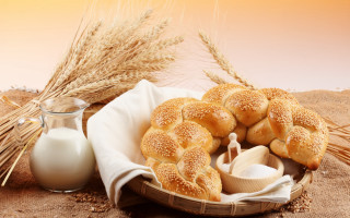 Bread milk wheat table cloth - the table free wallpaper