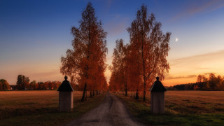 Dirt road autumn moon forest - autumn free wallpaper