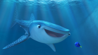 Cartoon whale fish light shining - a fish free wallpaper
