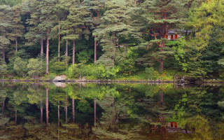 Cabin lake forest ecological impressionist - a small cabin free wallpaper