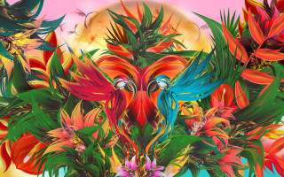 Bird flowers pink moon psychedelic - a painting of a bird free wallpaper