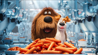 Dog cityscape poster blurry furry - pixar and disney animation free wallpaper