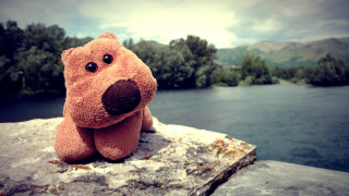 Stuffed animal rock river trees - clovis trouille free wallpaper for desktop