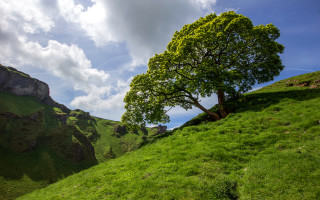 Tree hill clouds sky green - a grassy hill free wallpaper for desktop