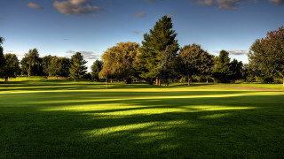 Green field trees blue sky - arlington nelson lindenmuth free wallpaper