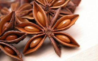 Star anise closeup nuts leaves - boetius adamsz bolswert free wallpaper for desktop