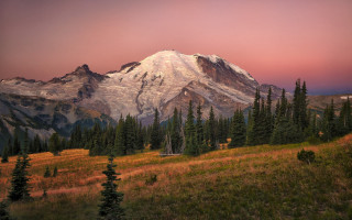 Mountain snowcapped forest grass lake - peak in the distance free wallpaper
