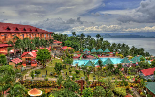 Resort pool palm trees water - palm tree and a body of water free wallpaper