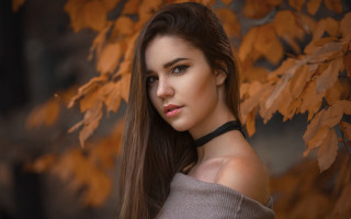 Elina karimova autumn leaves long - free portrait wallpaper for desktop