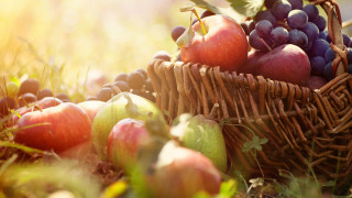 Basket apples grapes grass sunlight - fall vibrancy free wallpaper for desktop
